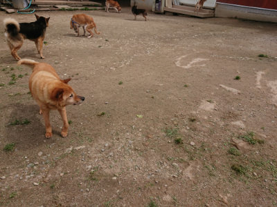 f:id:roukenhome-ann:20190429075020j:plain f:id:roukenhome-ann:20190429075020j:plain