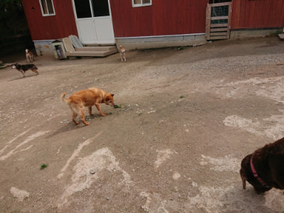 f:id:roukenhome-ann:20190429075117j:plain f:id:roukenhome-ann:20190429075117j:plain