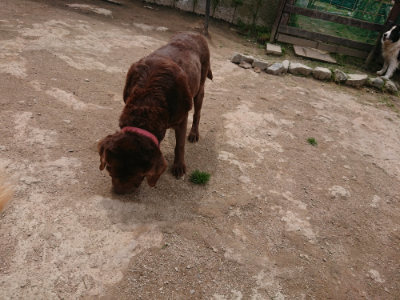 f:id:roukenhome-ann:20190429075145j:plain f:id:roukenhome-ann:20190429075145j:plain