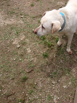 f:id:roukenhome-ann:20190429075626j:plain f:id:roukenhome-ann:20190429075626j:plain
