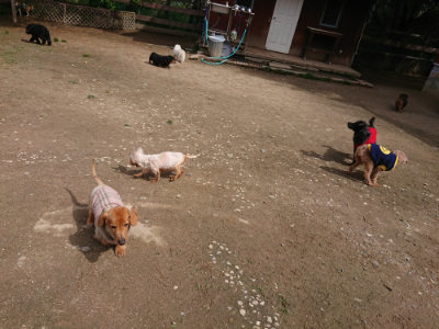 f:id:roukenhome-ann:20190429075742j:plain f:id:roukenhome-ann:20190429075742j:plain