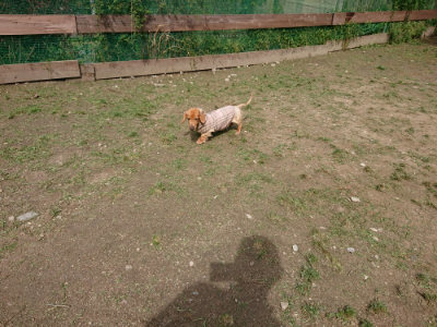 f:id:roukenhome-ann:20190429075757j:plain f:id:roukenhome-ann:20190429075757j:plain