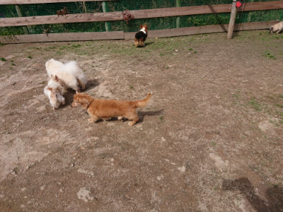 f:id:roukenhome-ann:20190429075801j:plain f:id:roukenhome-ann:20190429075801j:plain