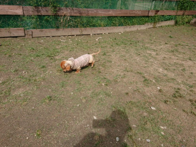 f:id:roukenhome-ann:20190429075810j:plain f:id:roukenhome-ann:20190429075810j:plain