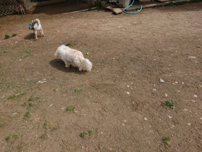 f:id:roukenhome-ann:20190429075835j:plain f:id:roukenhome-ann:20190429075835j:plain