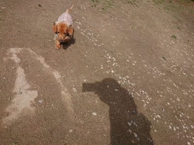 f:id:roukenhome-ann:20190429075849j:plain f:id:roukenhome-ann:20190429075849j:plain