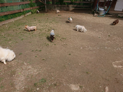 f:id:roukenhome-ann:20190429080312j:plain f:id:roukenhome-ann:20190429080312j:plain