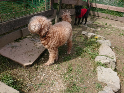 f:id:roukenhome-ann:20190429080419j:plain f:id:roukenhome-ann:20190429080419j:plain