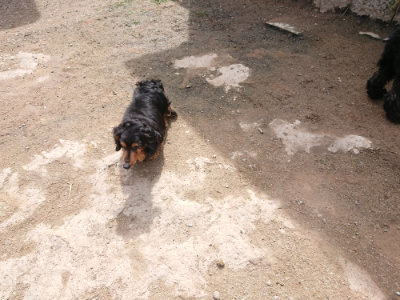 f:id:roukenhome-ann:20190429080431j:plain f:id:roukenhome-ann:20190429080431j:plain
