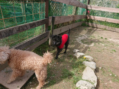 f:id:roukenhome-ann:20190429080522j:plain f:id:roukenhome-ann:20190429080522j:plain