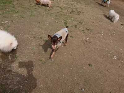 f:id:roukenhome-ann:20190429080921j:plain f:id:roukenhome-ann:20190429080921j:plain