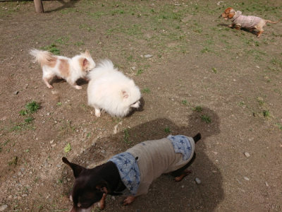 f:id:roukenhome-ann:20190429081047j:plain f:id:roukenhome-ann:20190429081047j:plain