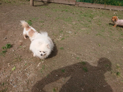 f:id:roukenhome-ann:20190429081104j:plain f:id:roukenhome-ann:20190429081104j:plain