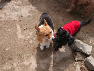 f:id:roukenhome-ann:20190429081143j:plain f:id:roukenhome-ann:20190429081143j:plain