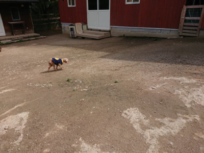 f:id:roukenhome-ann:20190429081231j:plain f:id:roukenhome-ann:20190429081231j:plain