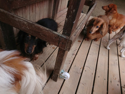 f:id:roukenhome-ann:20190429133627j:plain