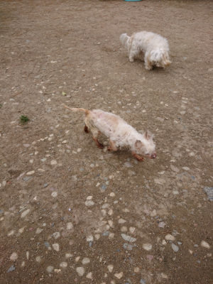 f:id:roukenhome-ann:20190429133656j:plain