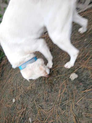 f:id:roukenhome-ann:20190429133729j:plain