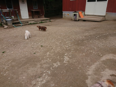 f:id:roukenhome-ann:20190429133736j:plain