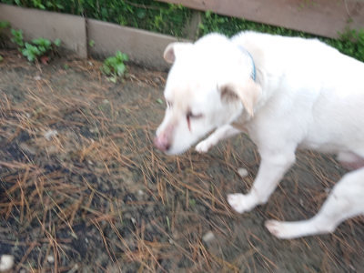 f:id:roukenhome-ann:20190429133811j:plain