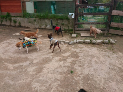 f:id:roukenhome-ann:20190429133816j:plain