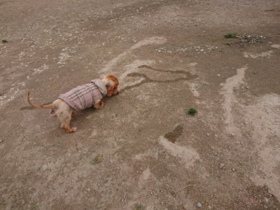 f:id:roukenhome-ann:20190429133824j:plain