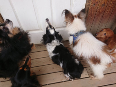 f:id:roukenhome-ann:20190429133837j:plain