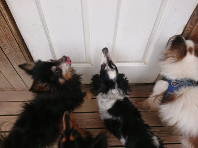 f:id:roukenhome-ann:20190429133843j:plain