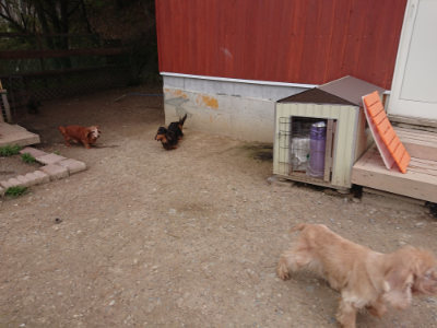 f:id:roukenhome-ann:20190429133855j:plain