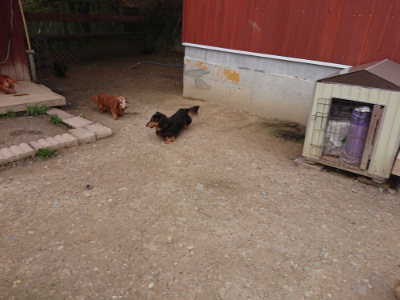 f:id:roukenhome-ann:20190429133900j:plain