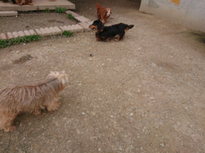 f:id:roukenhome-ann:20190429133907j:plain