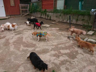 f:id:roukenhome-ann:20190429133912j:plain