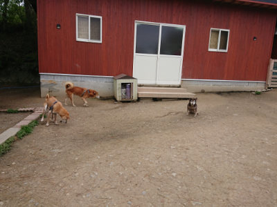 f:id:roukenhome-ann:20190429133919j:plain