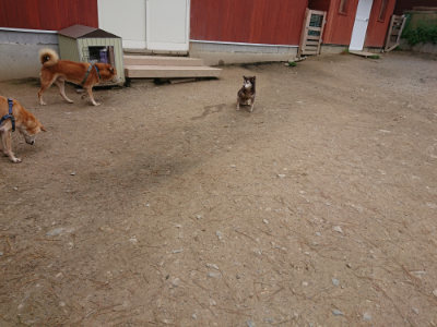 f:id:roukenhome-ann:20190429133923j:plain