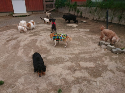 f:id:roukenhome-ann:20190429133949j:plain