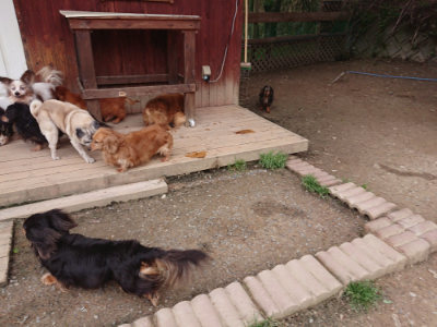 f:id:roukenhome-ann:20190429134001j:plain