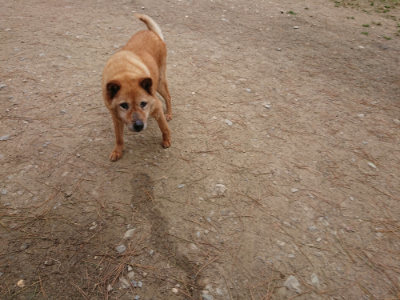 f:id:roukenhome-ann:20190429134007j:plain