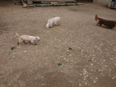 f:id:roukenhome-ann:20190429134024j:plain