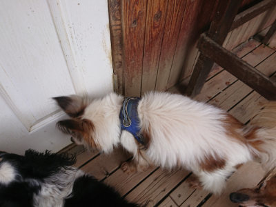 f:id:roukenhome-ann:20190429134030j:plain