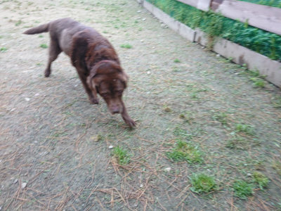 f:id:roukenhome-ann:20190429134049j:plain