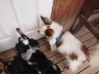 f:id:roukenhome-ann:20190429134055j:plain