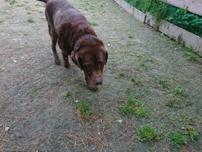 f:id:roukenhome-ann:20190429134116j:plain