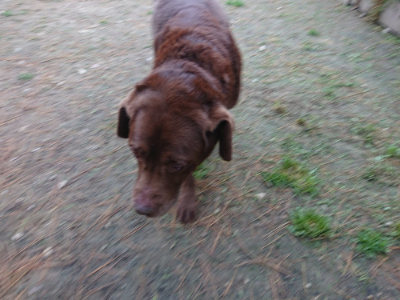 f:id:roukenhome-ann:20190429134121j:plain