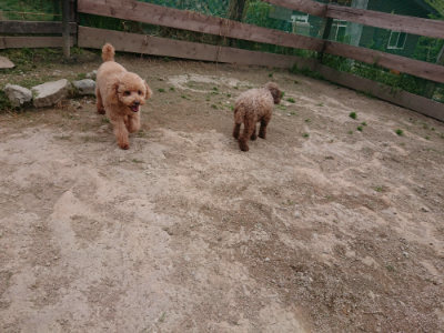 f:id:roukenhome-ann:20190429140102j:plain