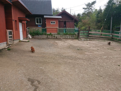 f:id:roukenhome-ann:20190429140107j:plain