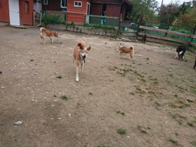 f:id:roukenhome-ann:20190429140112j:plain