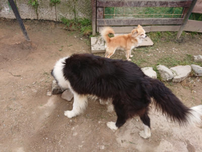 f:id:roukenhome-ann:20190429140120j:plain