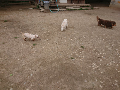 f:id:roukenhome-ann:20190429140126j:plain