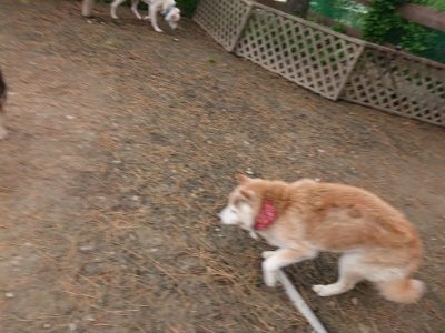 f:id:roukenhome-ann:20190429140138j:plain