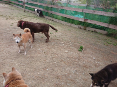 f:id:roukenhome-ann:20190429140150j:plain